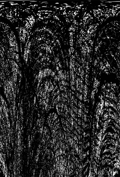 siyah ve beyaz grunge soyut arkaplan