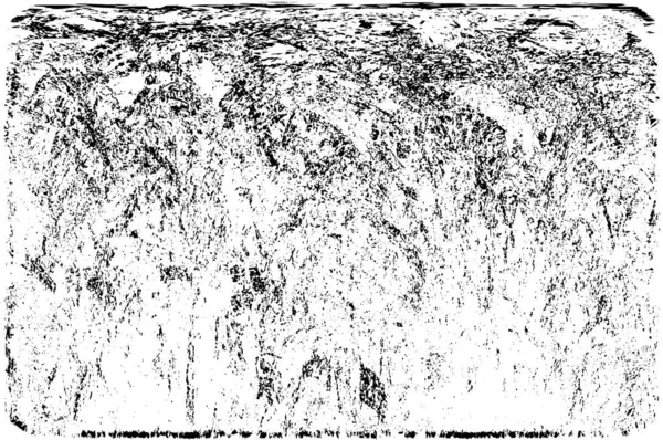 soyut grunge arka plan. siyah ve beyaz doku. vektör çizim.