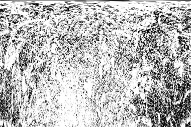 soyut grunge arka plan. siyah ve beyaz doku. vektör çizim.