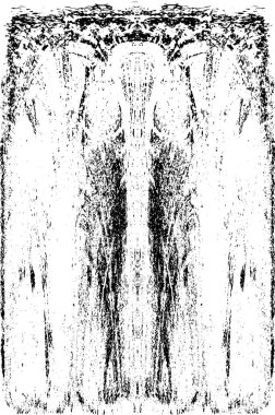 Grunge dikey olarak simetrik siyah beyaz doku. Tek renkli yıpranmış kaplama deseni. 