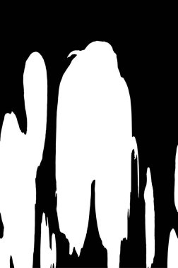 siyah ve beyaz grunge arkaplanı 