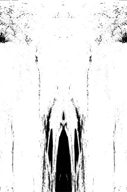 siyah ve beyaz grunge arkaplanı 