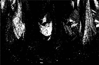 siyah ve beyaz grunge arkaplanı 