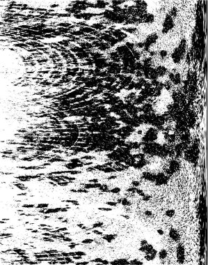 soyut siyah ve beyaz grunge doku resimleme arkaplanı 