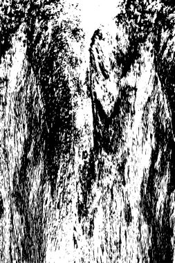 siyah beyaz monokrom eski grunge vintage yıpranmış arka plan