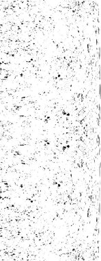 siyah beyaz monokrom eski grunge vintage yıpranmış arka plan