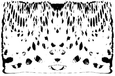 Soyut arkaplan. Monokrom dokusu. Resim siyah ve beyaz tonları içerir.