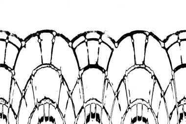 Soyut arkaplan. Monokrom dokusu. Resim siyah ve beyaz tonları içerir.