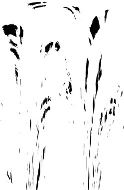 Soyut arkaplan. Monokrom dokusu. Resim siyah ve beyaz tonları içerir.