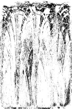  grunge siyah ve beyaz soyut arkaplan