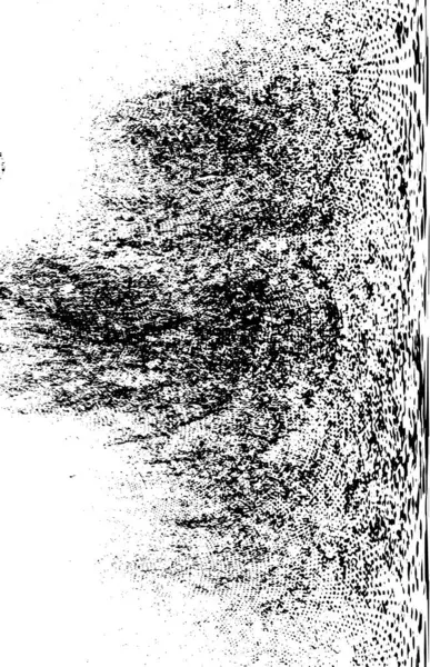 soyut grunge arka plan. siyah ve beyaz doku. vektör çizim.