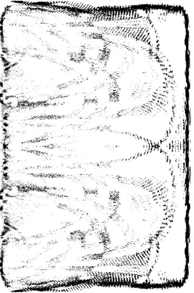 soyut grunge arka plan. siyah ve beyaz doku. vektör çizim.