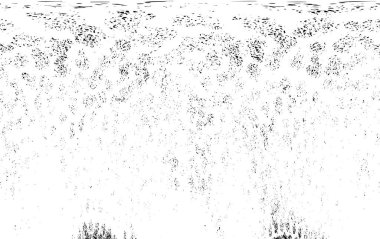 Soyut siyah beyaz arka plan. monokrom dokusu. 