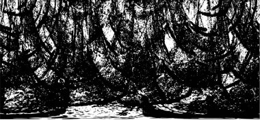 Soyut siyah beyaz arka plan. monokrom dokusu. 