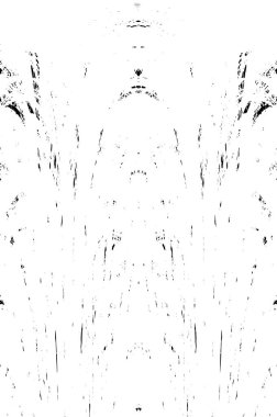 Grunge dikey olarak simetrik siyah beyaz doku. Tek renkli yıpranmış kaplama deseni. 
