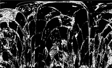  Soyut siyah ve beyaz monokrom arkaplanı 