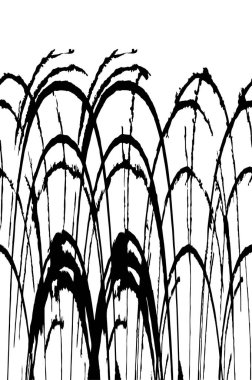  Soyut siyah ve beyaz monokrom arkaplanı 