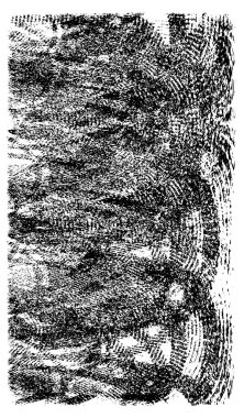 Soyut siyah ve beyaz monokrom arkaplanı 