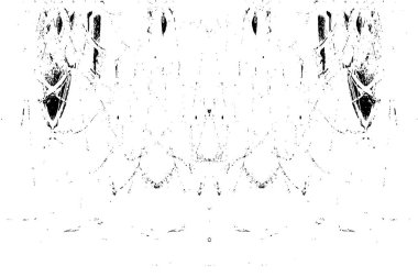 Grunge dikey olarak simetrik siyah beyaz doku. Tek renkli yıpranmış kaplama deseni. 