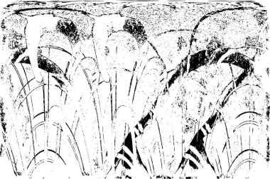 siyah ve beyaz soyut grunge arkaplanı