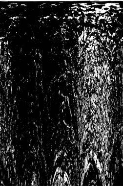 siyah ve beyaz grunge arkaplanı