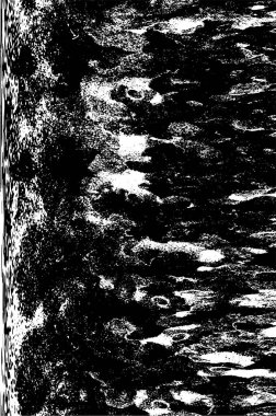 siyah beyaz soyut dokulu arka plan