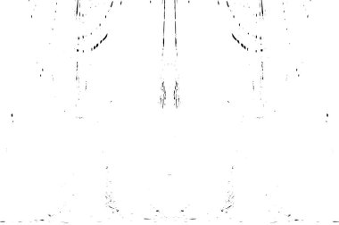 siyah beyaz soyut dokulu arka plan