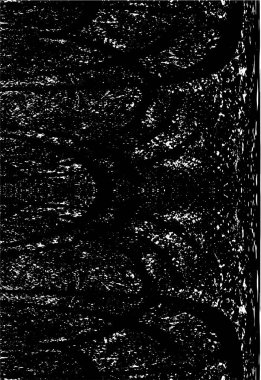 Soyut siyah beyaz arka plan. monokrom dokusu. 