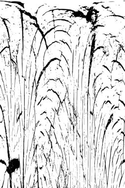 siyah ve beyaz monokrom soyut grunge vintage arkaplan     