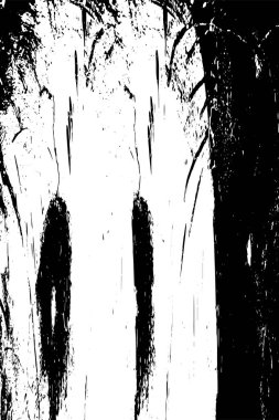 siyah ve beyaz monokrom soyut grunge vintage arkaplan     