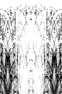 siyah ve beyaz monokrom soyut grunge vintage arkaplan     