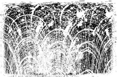 siyah ve beyaz monokrom eski grunge vintage arkaplan soyut doku 