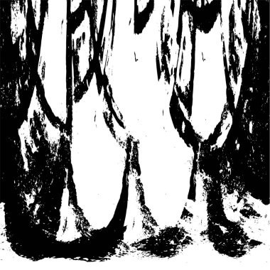 siyah ve beyaz monokrom eski grunge vintage arkaplan soyut doku 