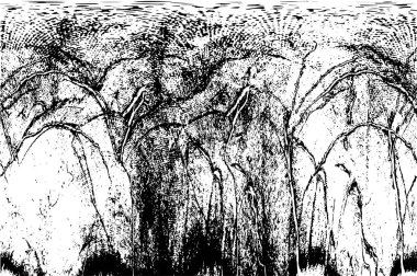 soyut grunge modern siyah beyaz arkaplan