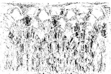 soyut grunge modern siyah beyaz arkaplan