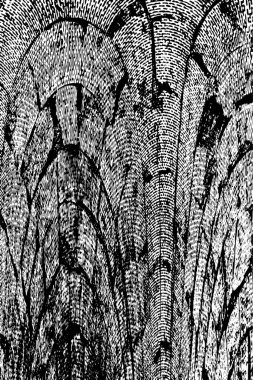 Siyah ve beyaz arka plan, vektör çizim 