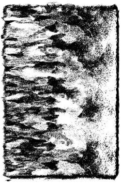 Siyah ve beyaz arka plan, vektör çizim 