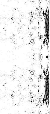 Siyah ve beyaz arka plan, vektör çizim 