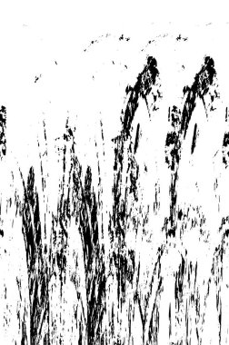 Siyah ve beyaz grunge arka plan, vektör çizim 