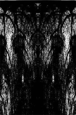 Siyah ve beyaz grunge arka plan, vektör çizim 