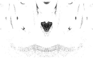 Grunge dikey olarak simetrik siyah beyaz doku. Tek renkli yıpranmış kaplama deseni. 