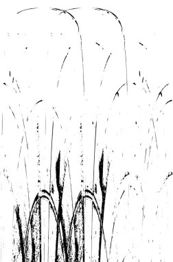 Soyut arkaplan. Monokrom dokusu. Siyah ve beyaz desenli arkaplan. 