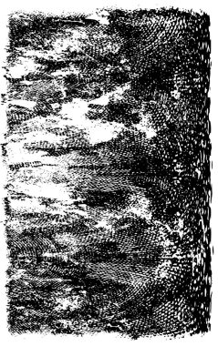 Soyut arkaplan. Monokrom dokusu. Siyah ve beyaz desenli arkaplan. 