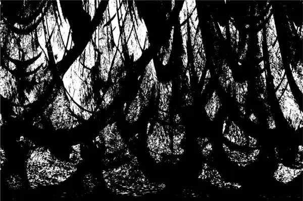 Soyut siyah beyaz arka plan. monokrom dokusu. 