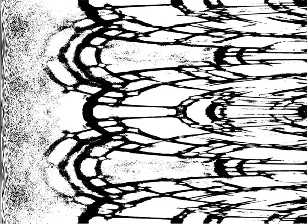 Soyut siyah beyaz arka plan. monokrom dokusu. 