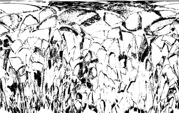 siyah ve beyaz monokrom soyut grunge vintage arkaplan     