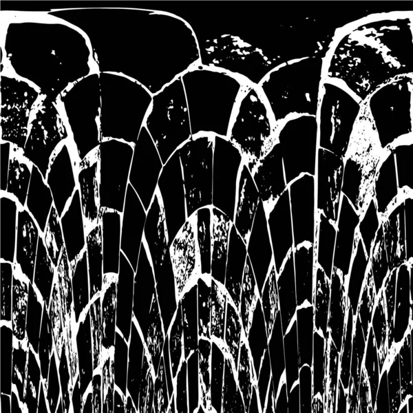 siyah ve beyaz monokrom eski grunge vintage arkaplan soyut doku 