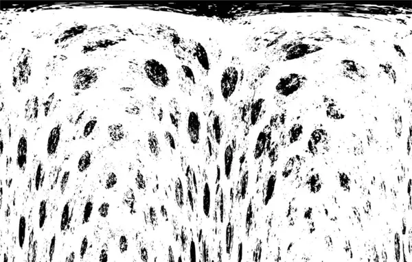 siyah ve beyaz monokrom eski grunge vintage arkaplan soyut doku 