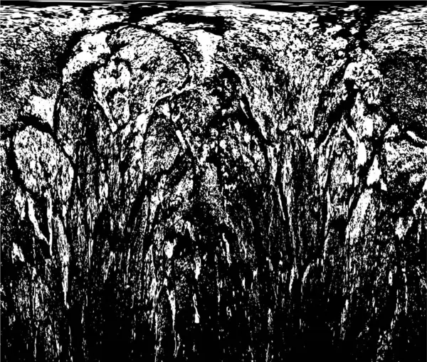 siyah ve beyaz monokrom eski grunge vintage arkaplan soyut doku 