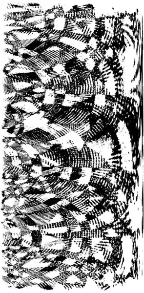 Siyah ve beyaz arka plan, vektör çizim 